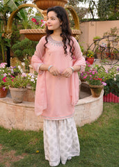 LIGHT PINK CHIFFON GHARARA