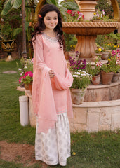 LIGHT PINK CHIFFON GHARARA