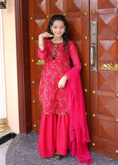 Hot Pink Embroidered Chiffon - wearmani