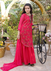 Hot Pink Embroidered Chiffon - wearmani