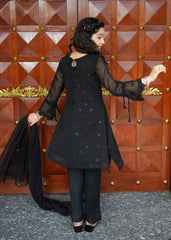 Black Embroidered Chiffon - wearmani